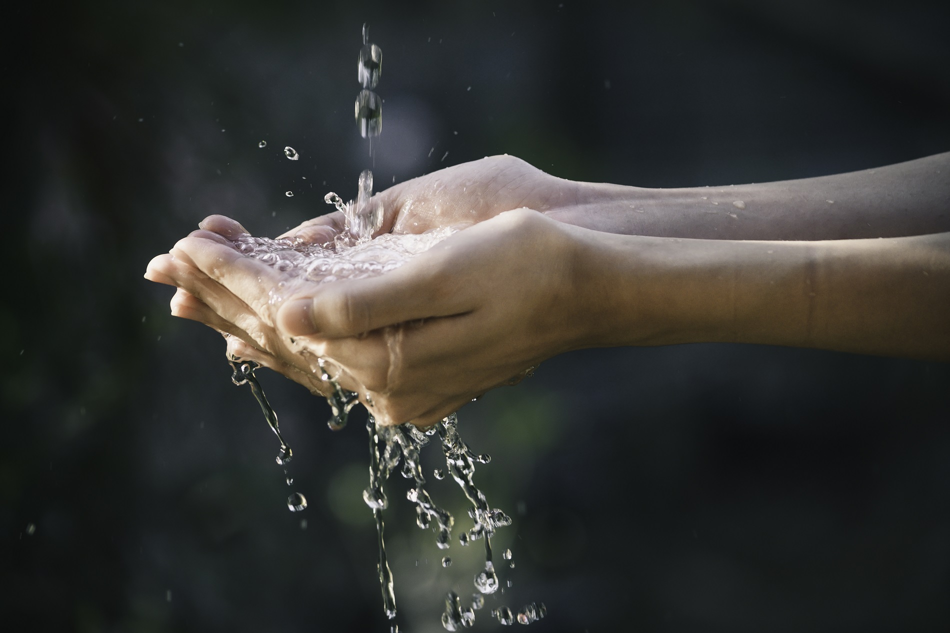 closeup water flow to hand of women for nature concept on the garden background.